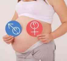Hormoni v nosečnosti