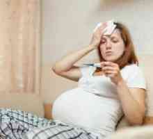 Gripa med nosečnostjo