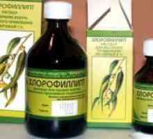 Chlorophyllipt za dojenčke