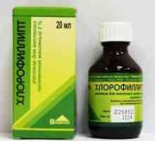 Chlorophyllipt med nosečnostjo