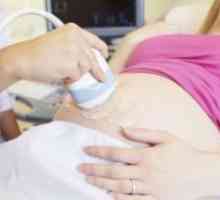Materničnega vratu nesposobnost med nosečnostjo