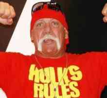 Zaradi škandalozno video Hulk Hogan je postal bogatejši za 140 milijonov