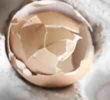 Jajčnih lupin - koristi in škoduje