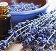 Lavender eterično olje