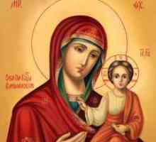 Zakaj sanje ikono Matere Božje?