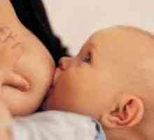 Kako pogosto naj hranim novorojenčka z materinim mlekom?