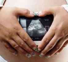 Kako pogosto lahko naredimo ultrazvok v nosečnosti?