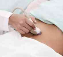 Kako ultrazvok ledvic?
