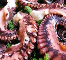 Kako kuhati hobotnice?