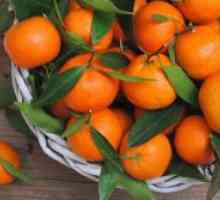 Shranjevanje mandarine?