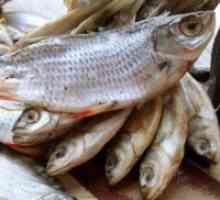 Shranjevanje posušene ribe doma?