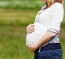Kako endometrij med nosečnostjo