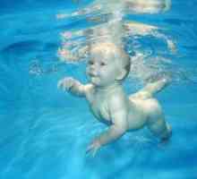 Kako naučiti otroka plavati?