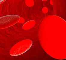 Kako povečati hemoglobin v nosečnosti