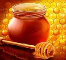 Shranjevanje medu?