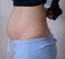 Kot raste trebuh med nosečnostjo?