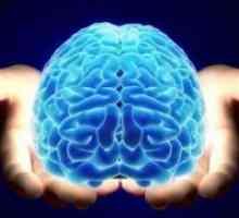 Kako razvijati možgane je 100 odstotkov?