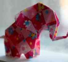 Kako narediti papir iz slona?