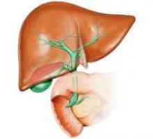 Kako obnoviti jetra?
