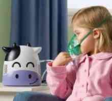 Kako izbrati inhalator?