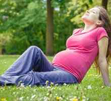 Katere teste opraviti v nosečnosti