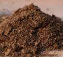 Kaj gnojilo uporablja v jeseni pod sadnih dreves?