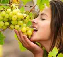 Kateri vitamin najdemo v grozdju?