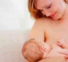 Kalcij za doječe matere