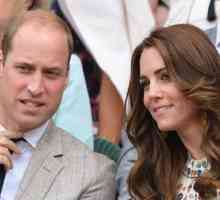 Kate Middleton, Princ William, Hugh Grant in drugi udeležili končno igro Wimbledon