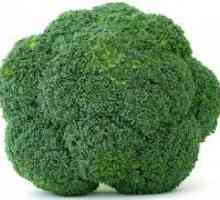 Pri zbiranju na pridelek brokolija?