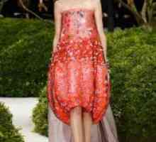 Zbiranje Dior pomlad-poletje 2013