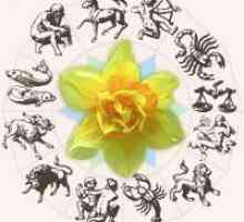 Zaščitene rože na znakov zodiaka