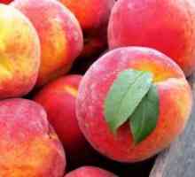 Peach kompot s kostmi