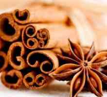 Cinnamon - koristne lastnosti