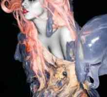 Lady Gaga Kostumi