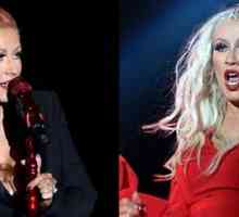 Christina Aguilera radikalno spremenila svojo podobo