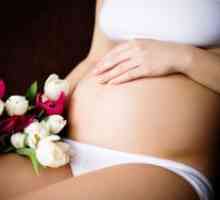 Kri v zgodnji nosečnosti