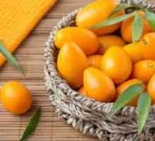 Kumquat - koristi in škoduje