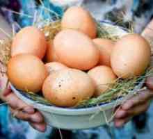 Piščanca jajce - kalorij