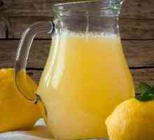 Limonada iz limone doma