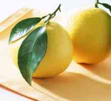 Lemon prehrana za hujšanje: koristi, nasveti, komentarji
