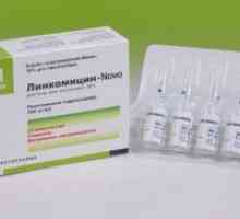 Linkomicin - injekcije