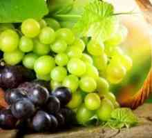 Najboljše sorte grozdja