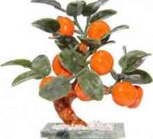 Tangerine drevo - Feng Shui