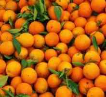Mandarine - koristi in škoduje