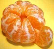 Mandarine v nosečnosti