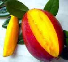 Mango - koristne lastnosti