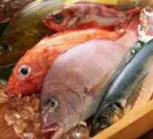 Mastne ribe - koristi in škoduje