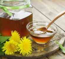 Honey Dandelion - koristi in škoduje