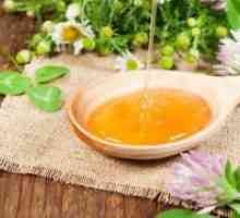 Honey trave - koristne lastnosti